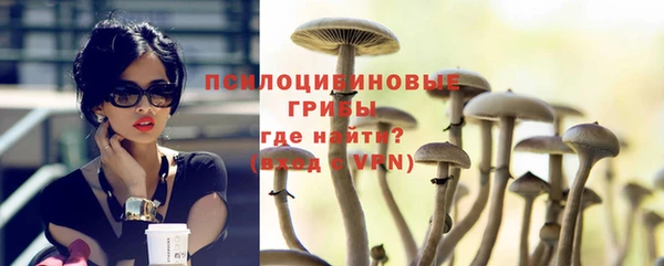 гидропоника Краснослободск