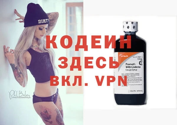 мдпв Корсаков
