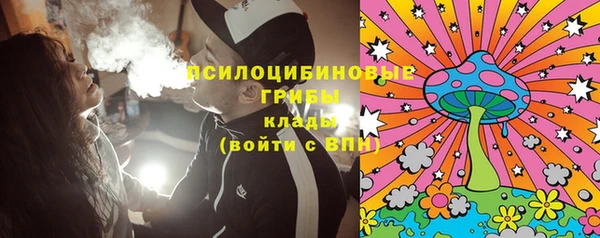 стаф Костерёво