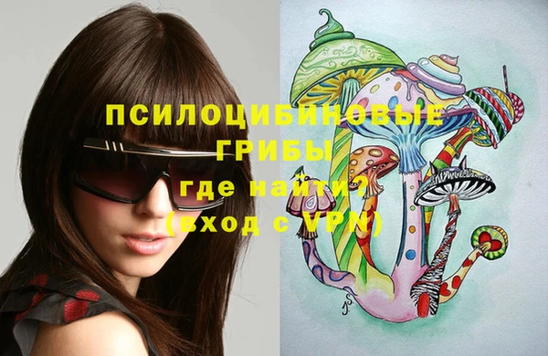 мяу мяу мука Коряжма